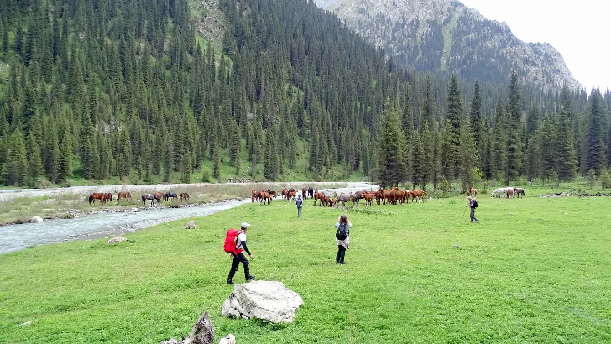 Kırgızistan: Tanrı Dağları’nda Destansı Bir Yolculuk!
